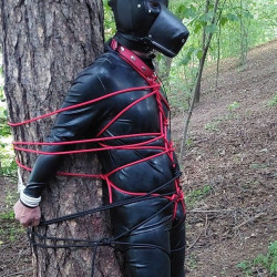 Pic #1Frank in latex